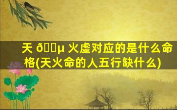 天 🐵 火虚对应的是什么命格(天火命的人五行缺什么)